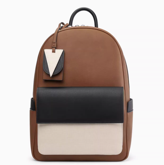 ZARA Multi Color Men Backpack